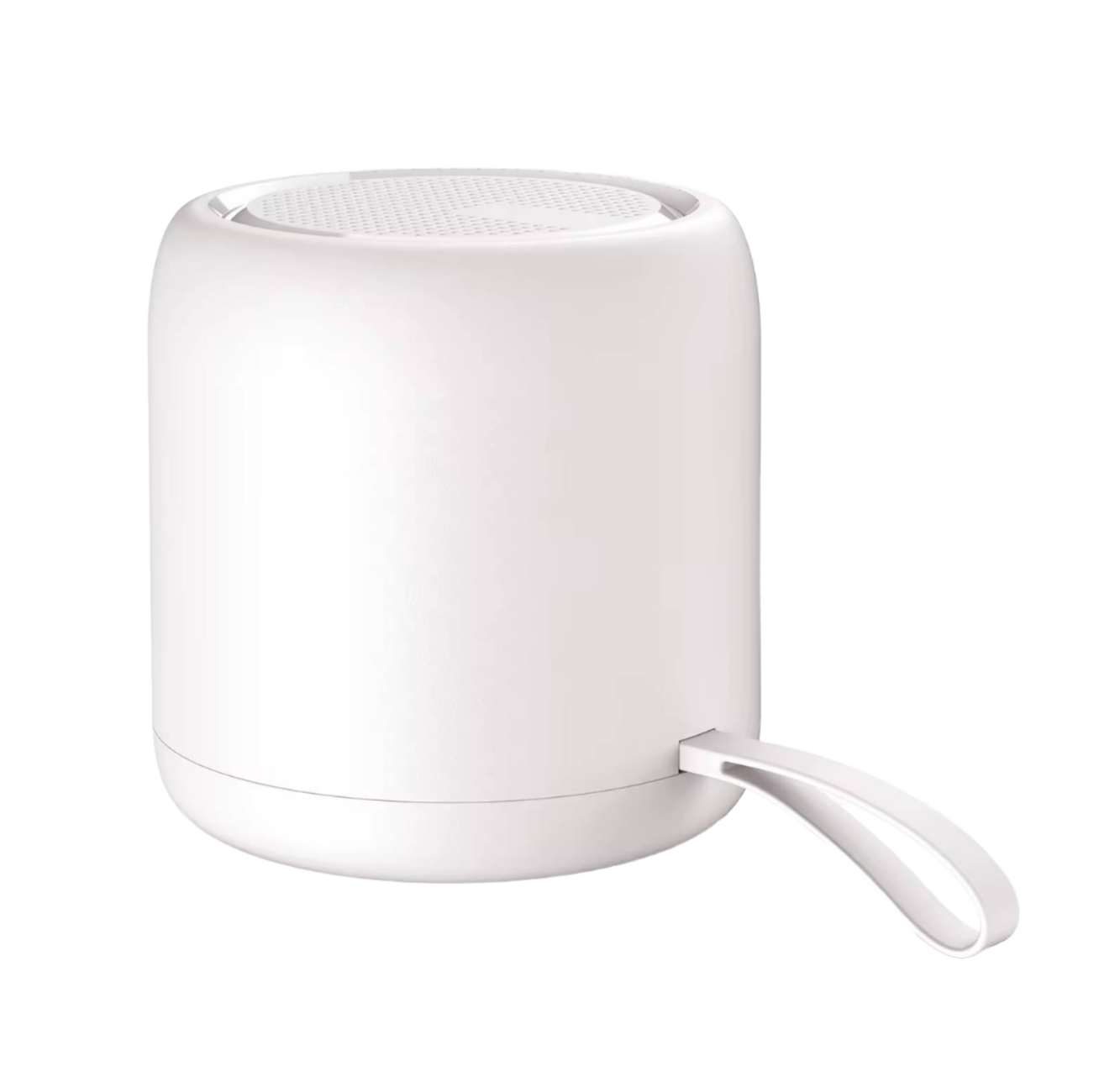Portable Bluetooth Speaker